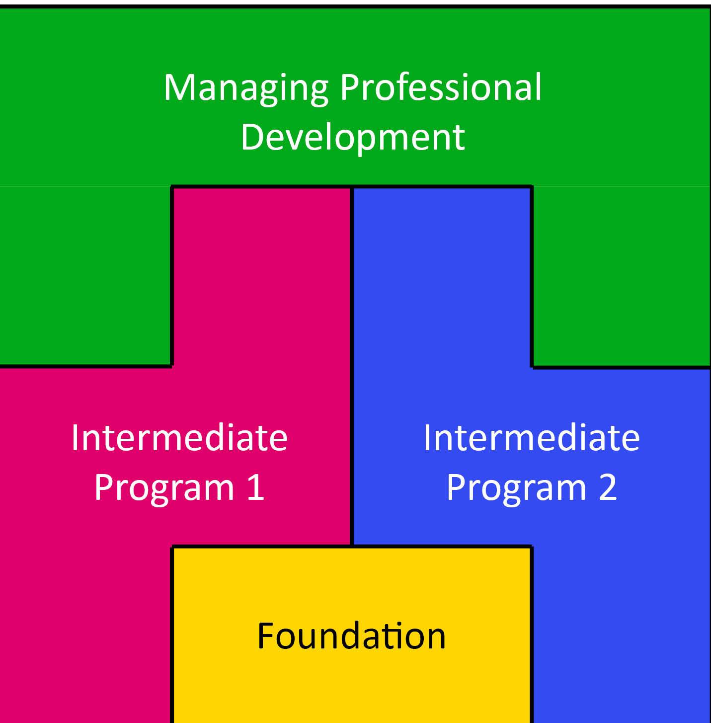 Developing Professional Development Program